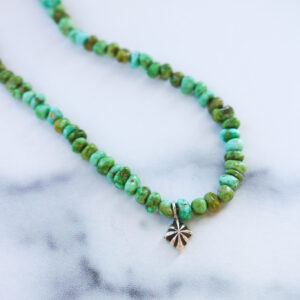 Sonoran Gold Turquoise Charm Necklace