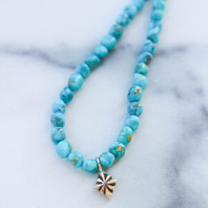Blue Ridge Turquoise Charm Necklace