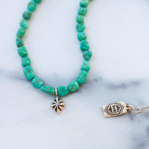 Emerald Valley Turquoise Charm Necklace