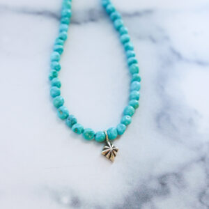 Blue Ridge Turquoise Charm Necklace